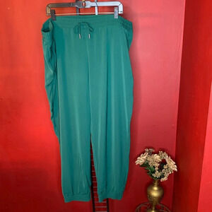Time and Tru Plus Size Joggers Size 2XG